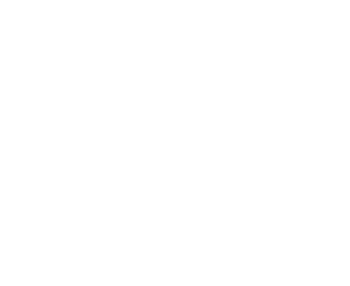 Simplifai KONSORTIUM Partner: Medizinische Universität Graz